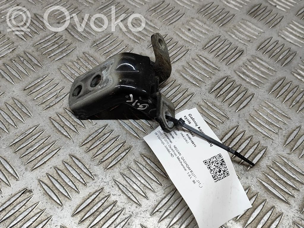 Nissan Qashqai Zawias dolny drzwi tylnych 