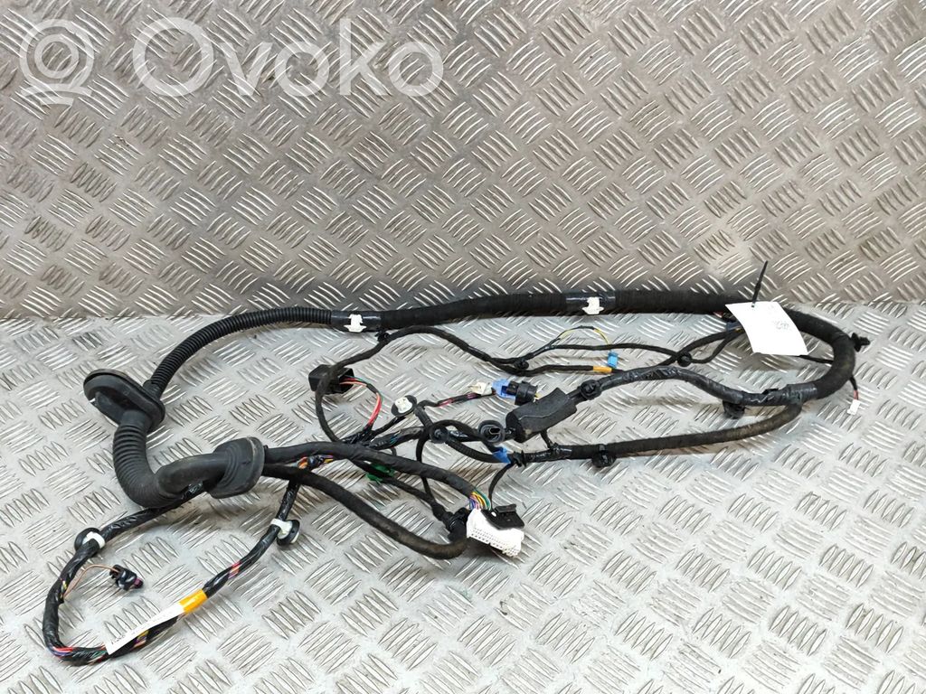 Tesla Model Y Cableado de puerta delantera 