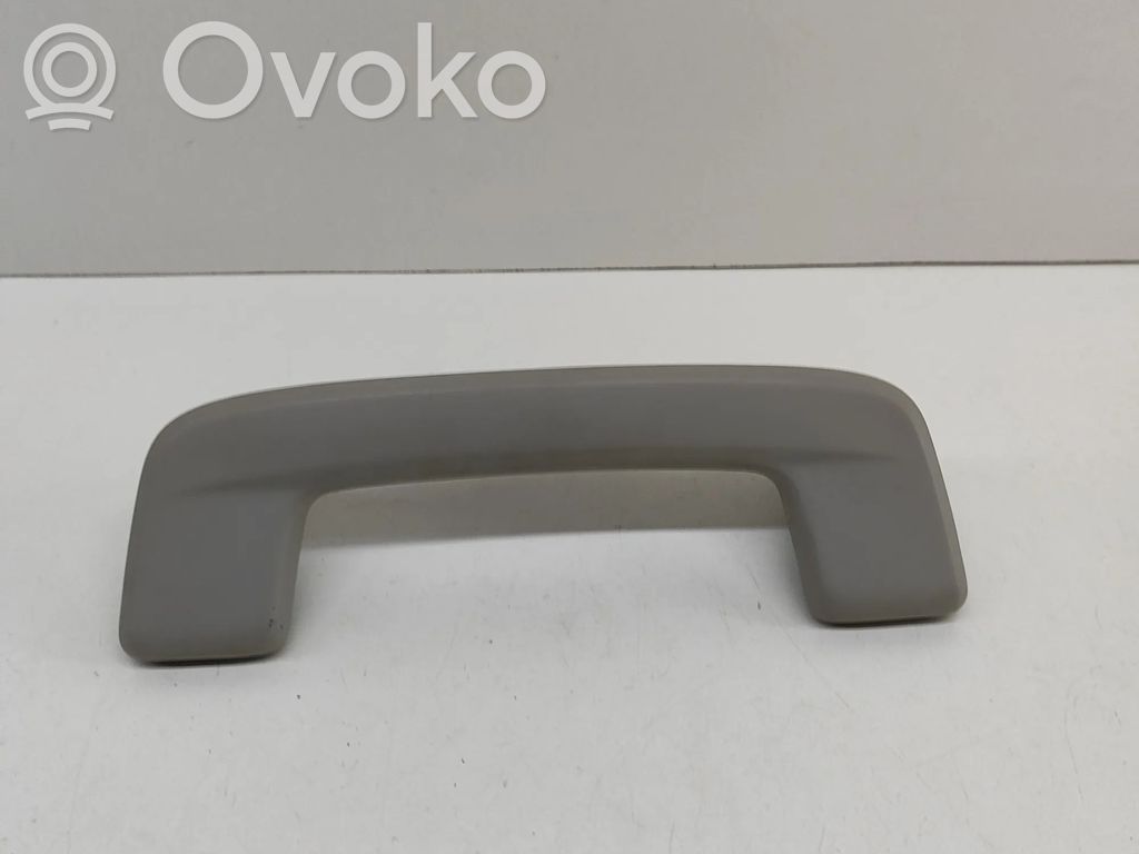 Skoda Enyaq iV Haltegriff vorne 
