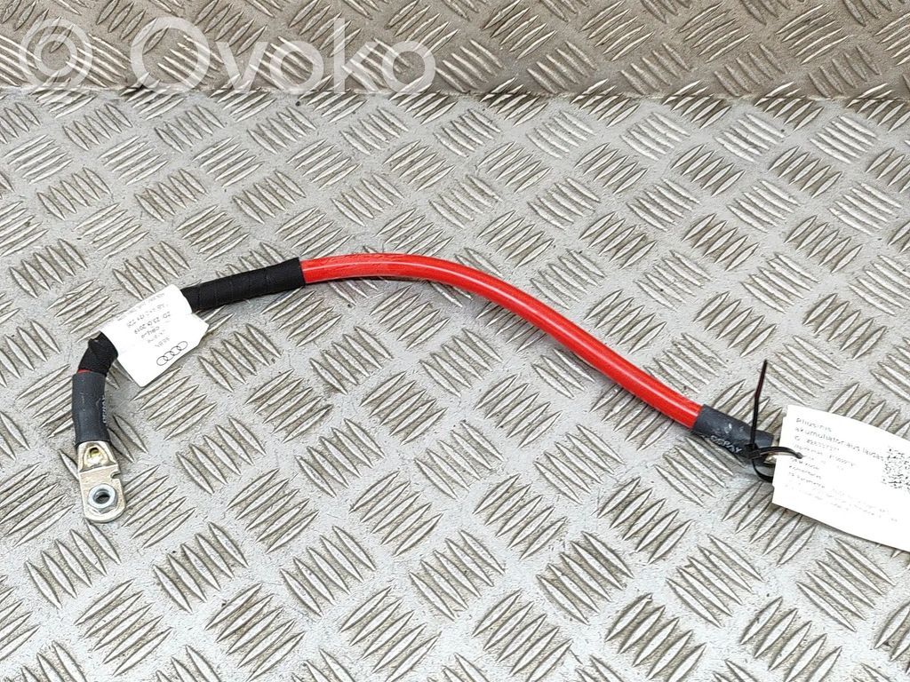 Audi RS6 C8 Cable positivo (batería) 
