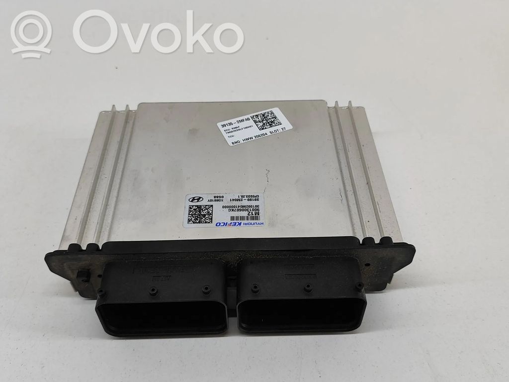 KIA Sportage Engine control unit/module 