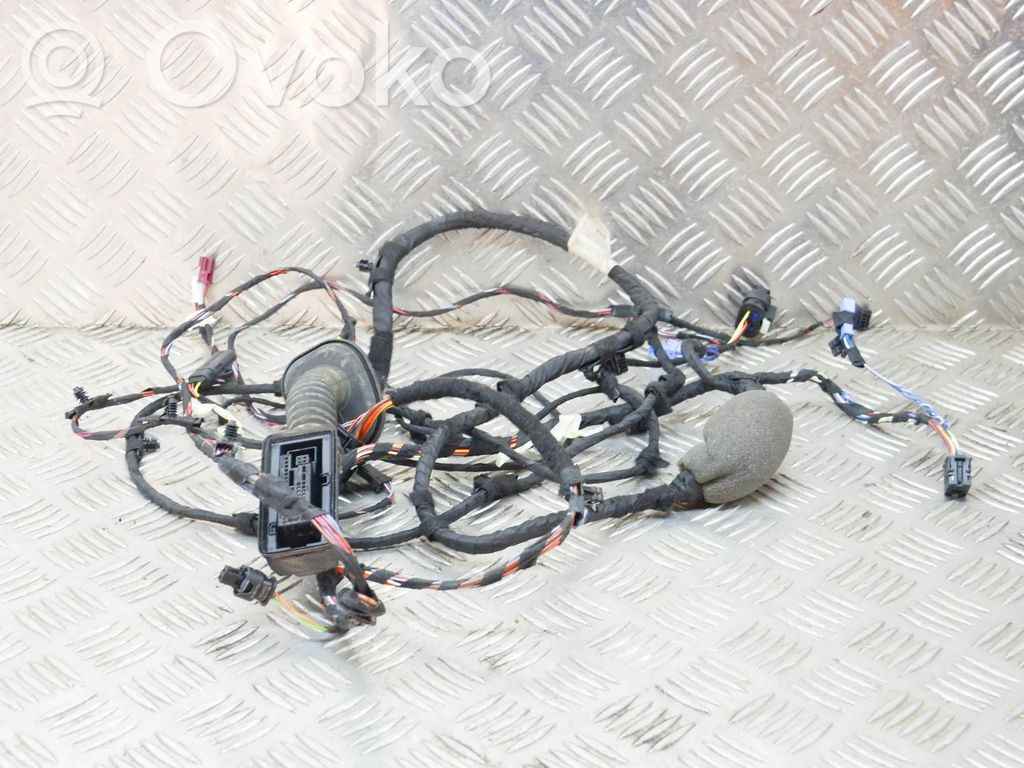 BMW X3M F97 Cableado de puerta delantera 