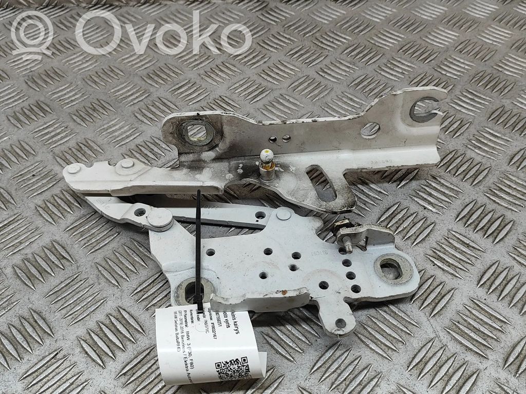 BMW 3 F30 F35 F31 Balamale capotă 