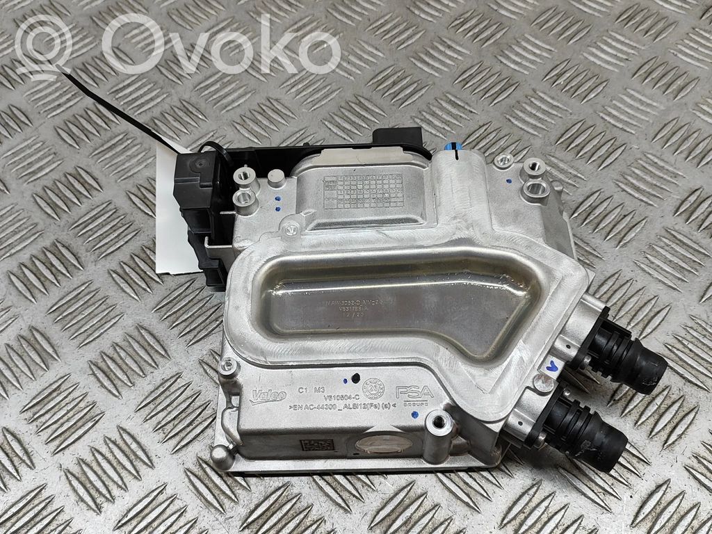 Peugeot 2008 II Altre centraline/moduli 