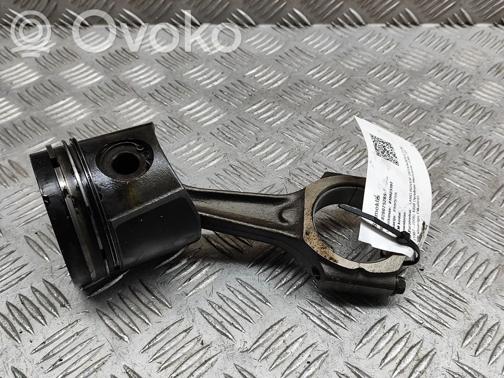 Piston   ERR6953,ERR7177