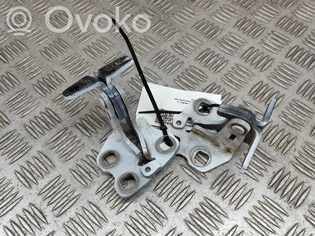 Tesla Model 3 Front door hinges set 
