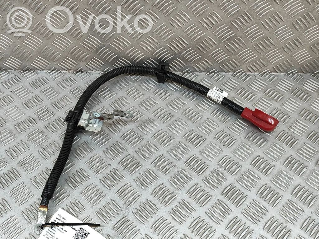 Nissan Leaf II (ZE1) Plus / Klema / Przewód akumulatora 