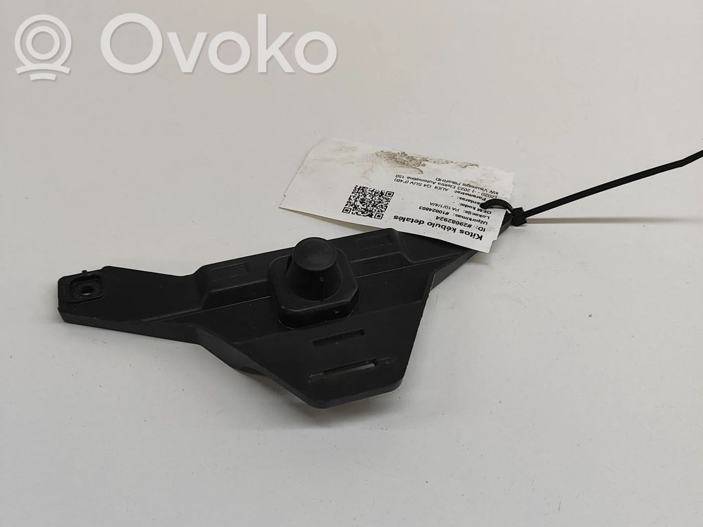 Audi Q4 e-tron Other body part 