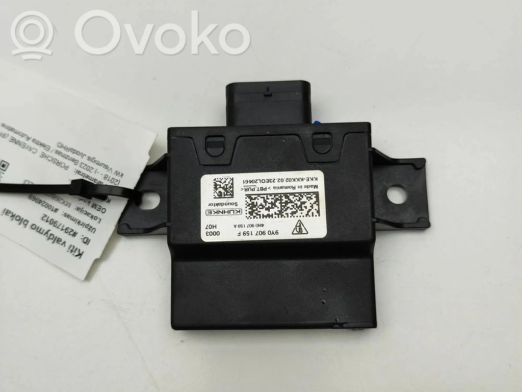 Porsche Cayenne (9Y0 9Y3) Autres unités de commande / modules 