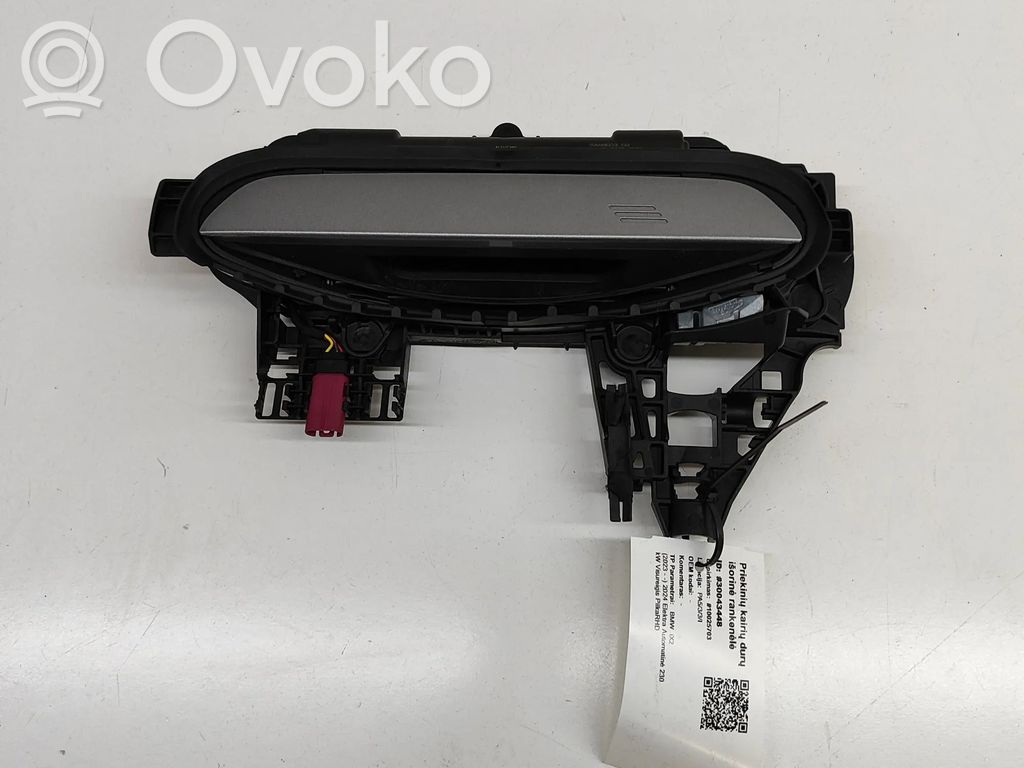 BMW X2 U10 Manecilla externa puerta delantera 