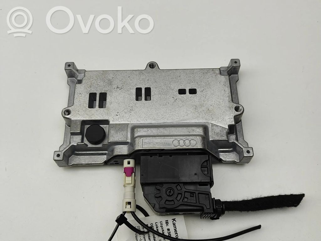 Porsche Cayenne (9Y0 9Y3) Video control module 