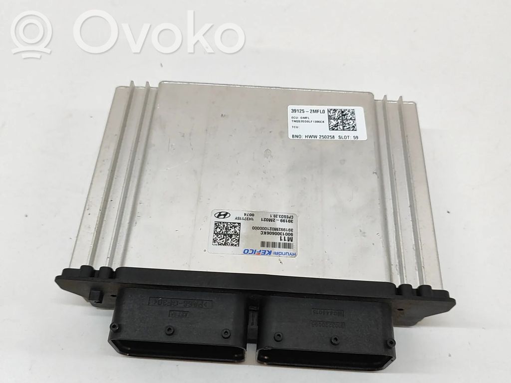 KIA Sportage Engine control unit/module 