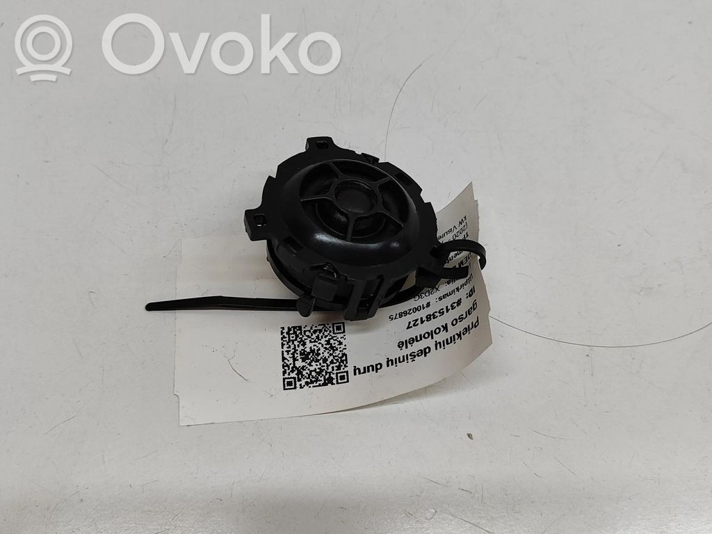 Volkswagen ID.4 Głośnik drzwi przednich 