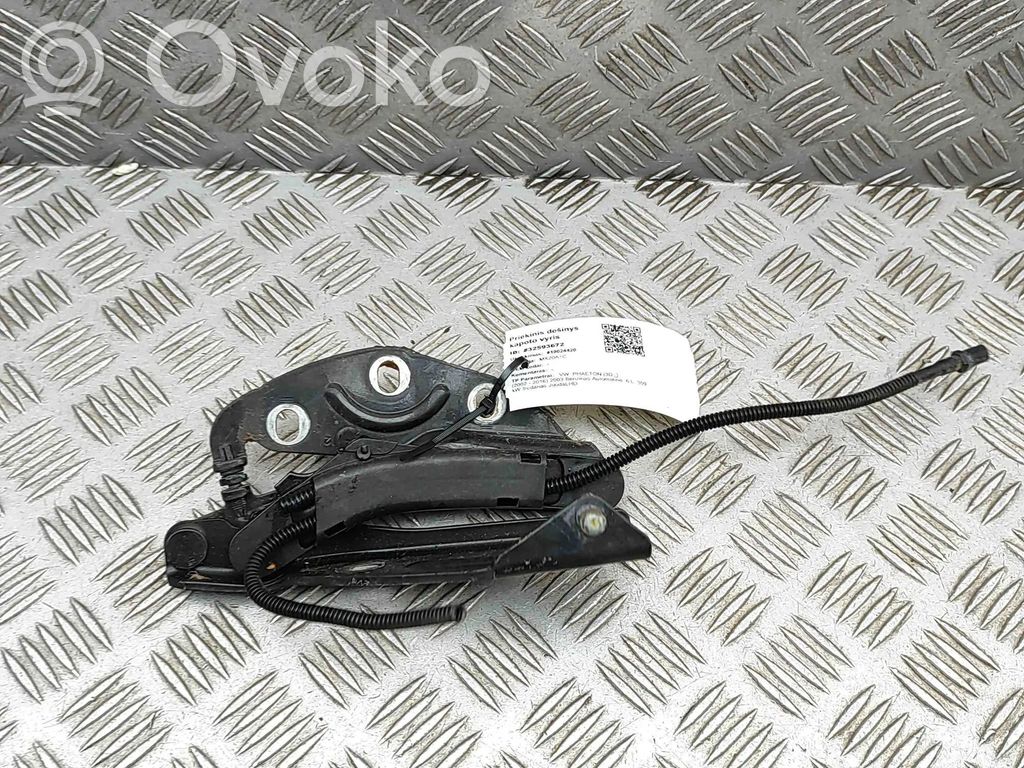 Volkswagen Phaeton Cerniere del vano motore/cofano 
