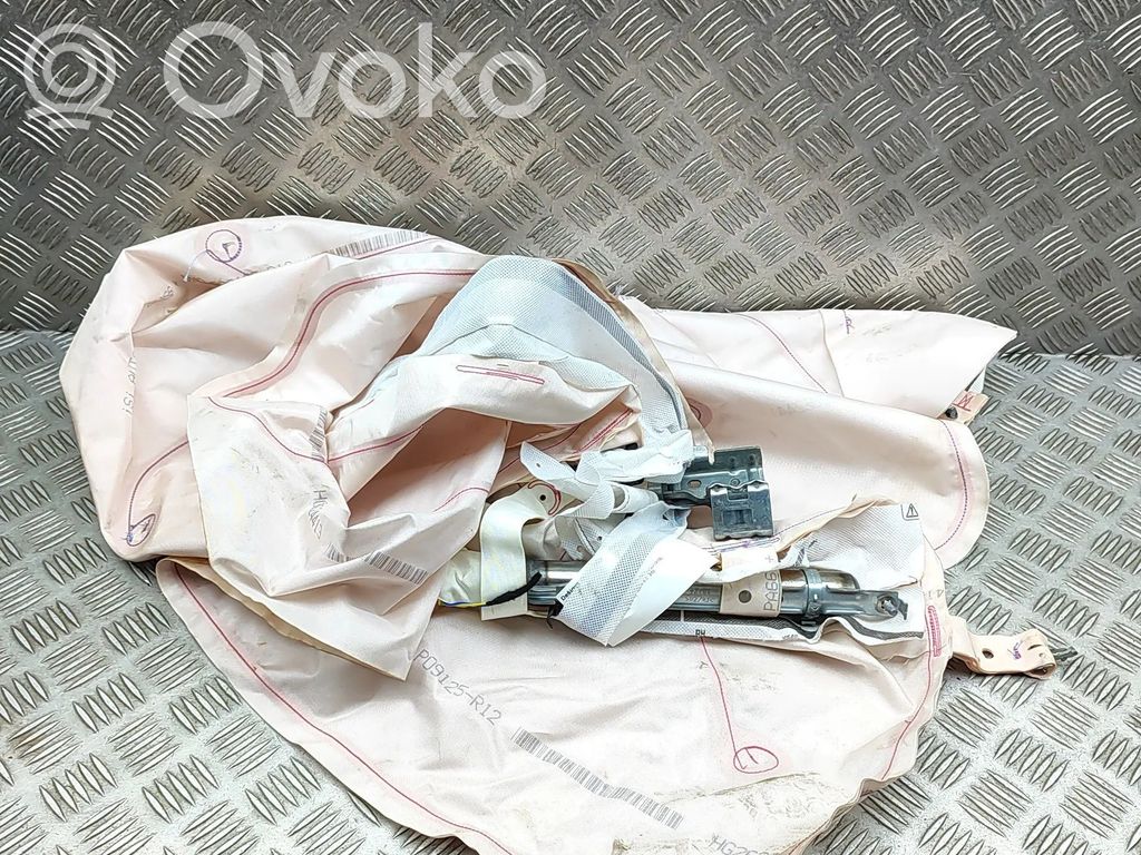 Porsche Cayenne (9Y0 9Y3) Airbag del techo 