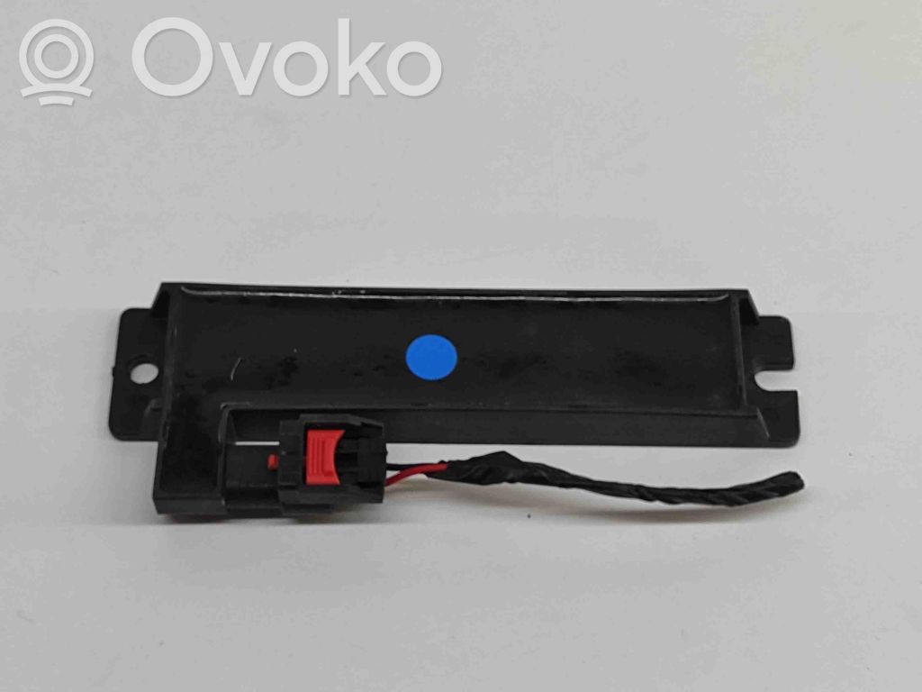 Antenne des Keyless-Systems   104312900B