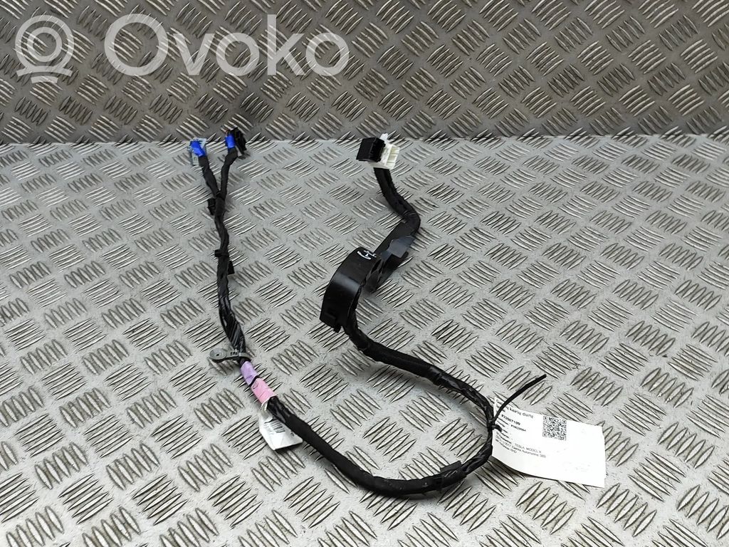 Tesla Model X Cableado de puerta trasera 
