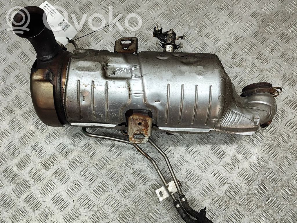 Citroen Berlingo Filtru de particule catalizator/FAP/DPF 