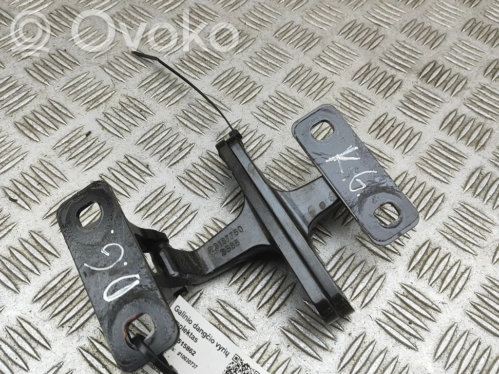 Chevrolet Corvette C7 Tailgate/trunk/boot hinge 