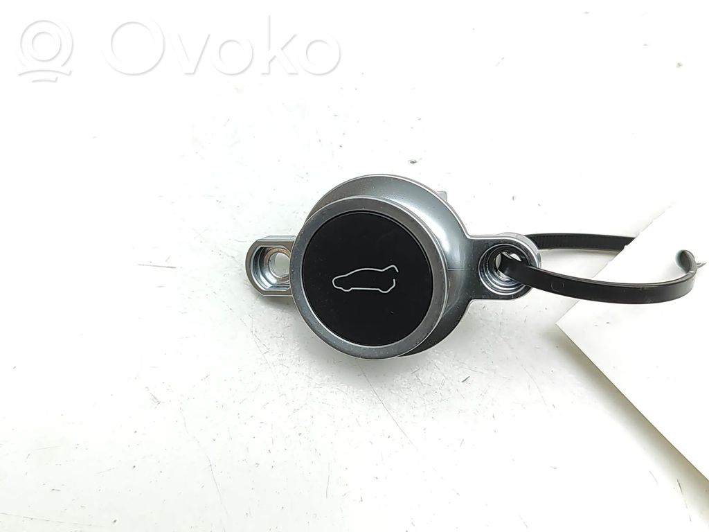 Tailgate/boot open switch button   104262900C