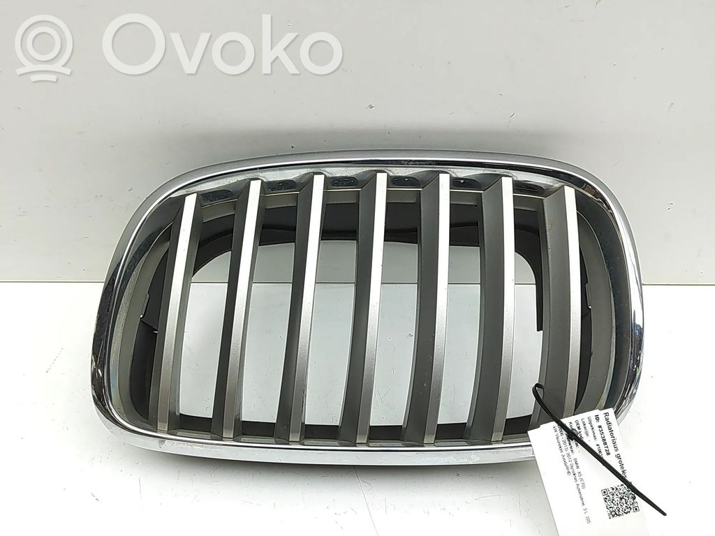 BMW X5 E70 Etusäleikkö 