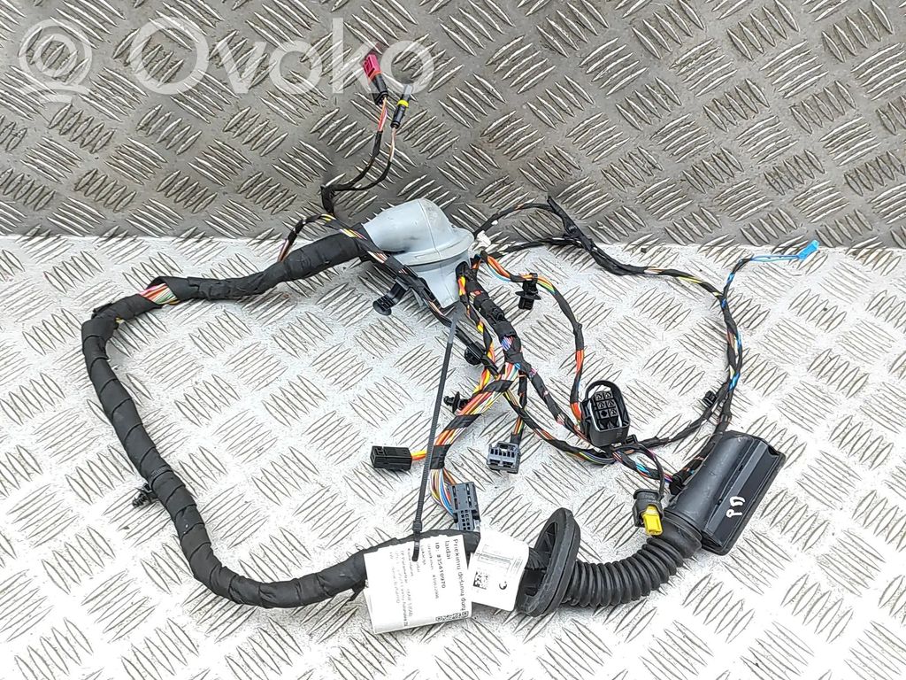 BMW 5 G60 G61 Cableado de puerta delantera 