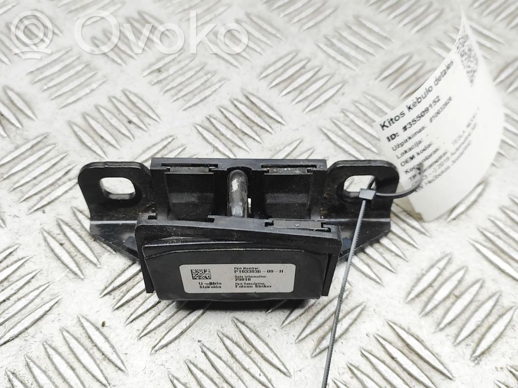 Tesla Model X Other body part 