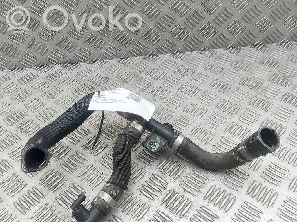 Peugeot 2008 II Przewód / Wąż chłodnicy 
