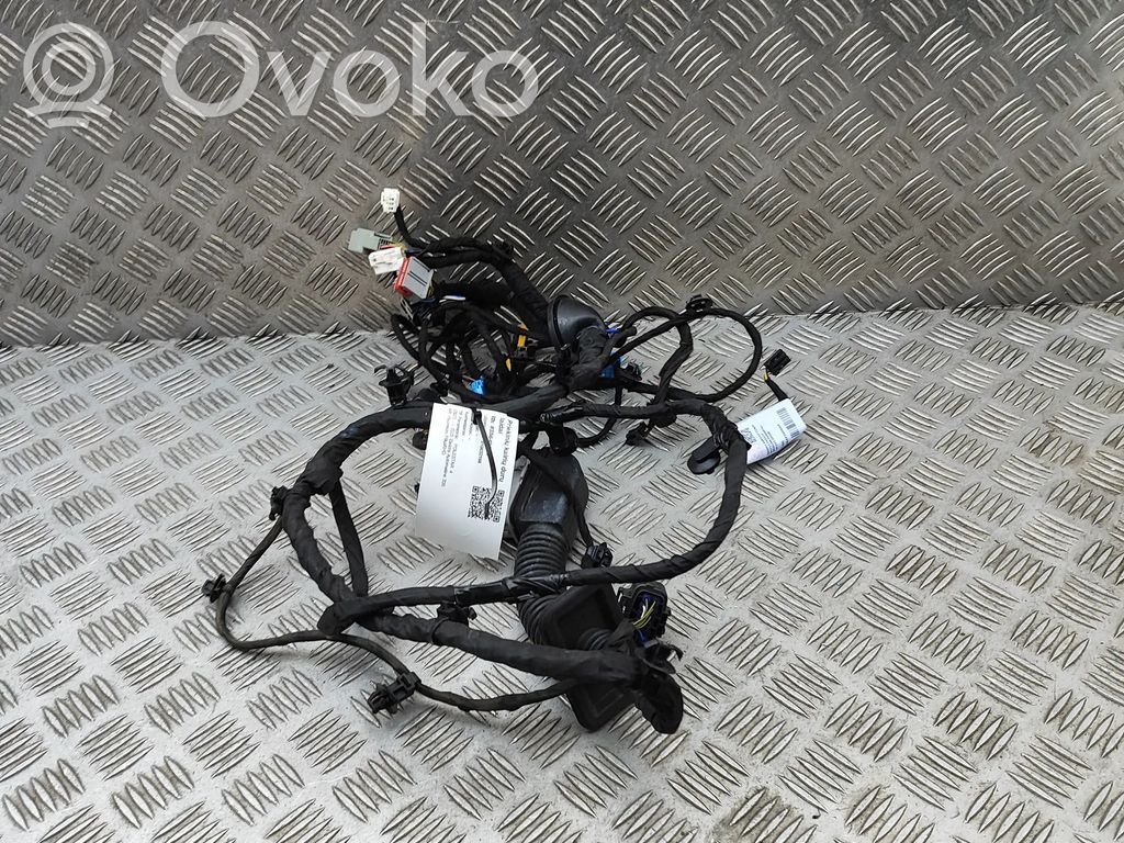 Wiązka przewodów drzwi przednich   80015541,6608120815,P6608120815