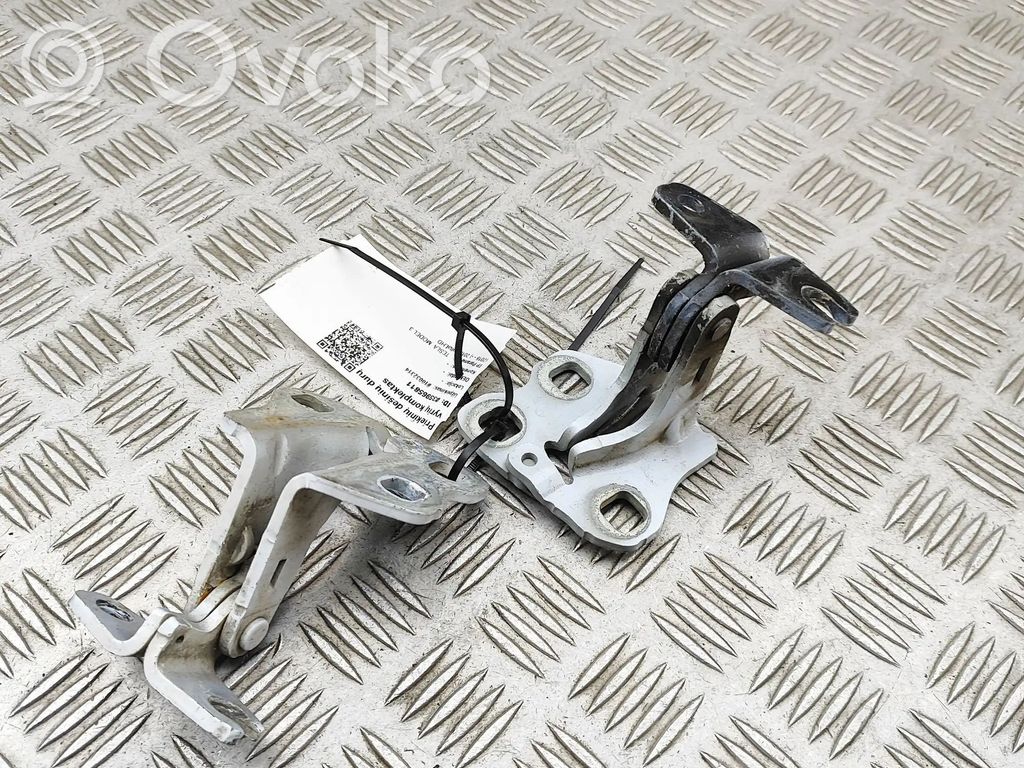 Front door hinges set   110103400G,110103600G