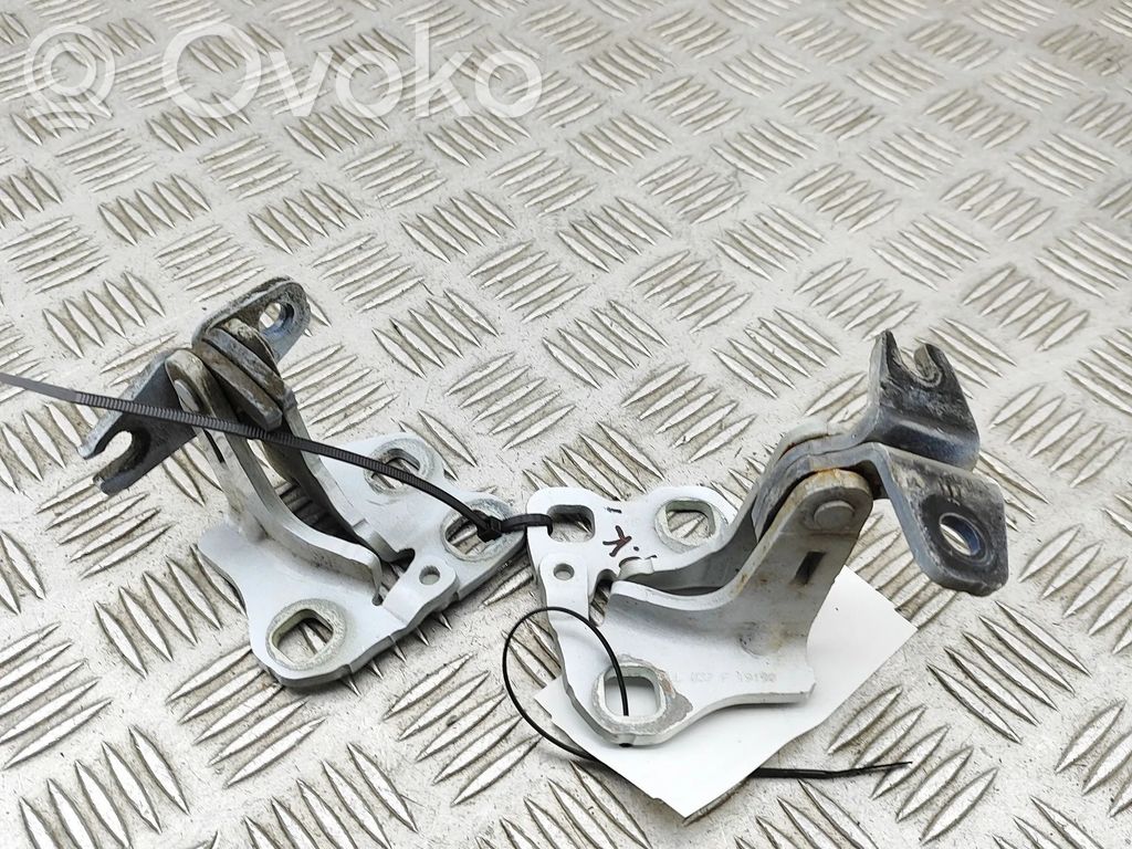 Tesla Model 3 Front door hinges set 