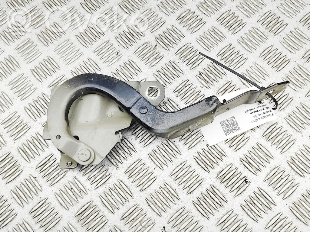 Renault Zoe Balamale capotă 
