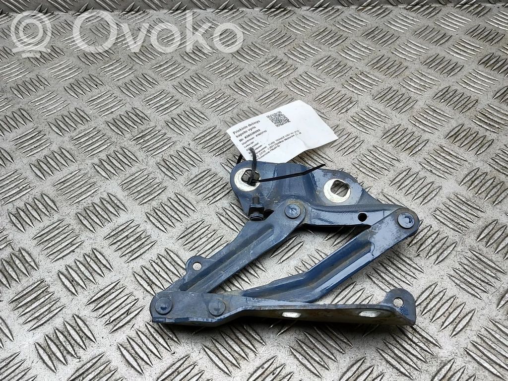 Ford Transit VII Balamale capotă 