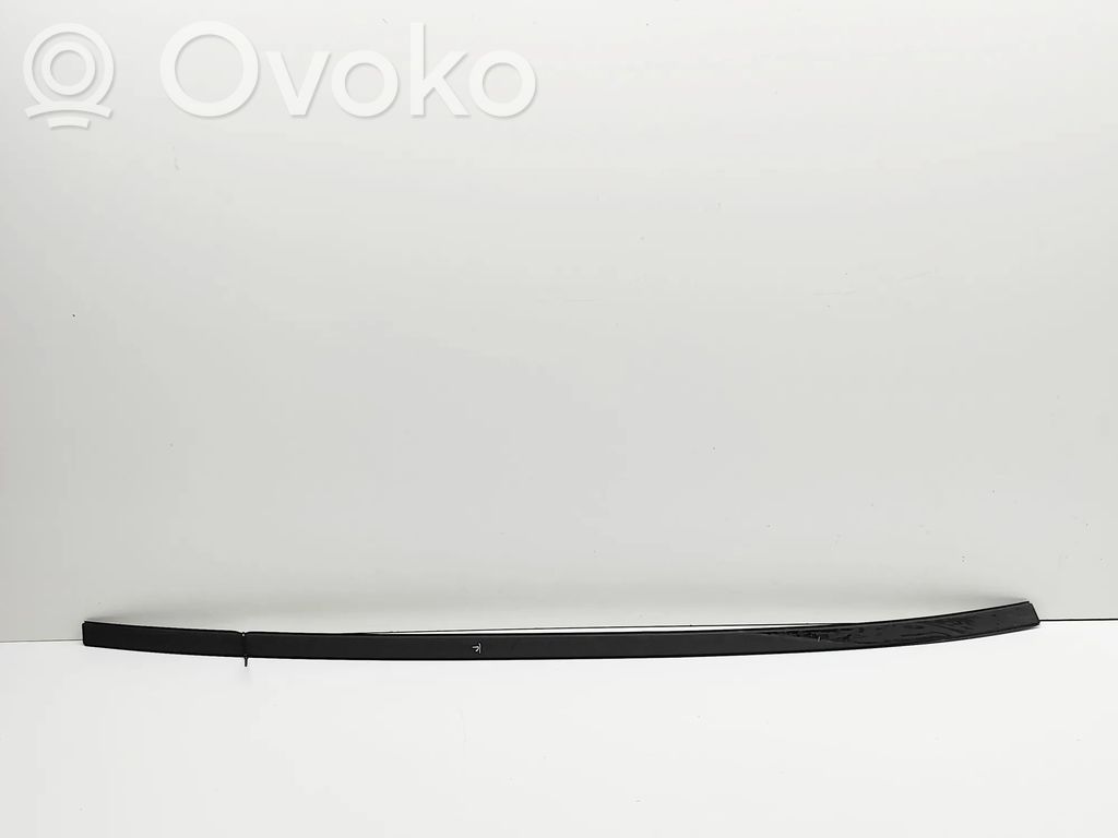 Renault Arkana Moulures, baguette de toit 