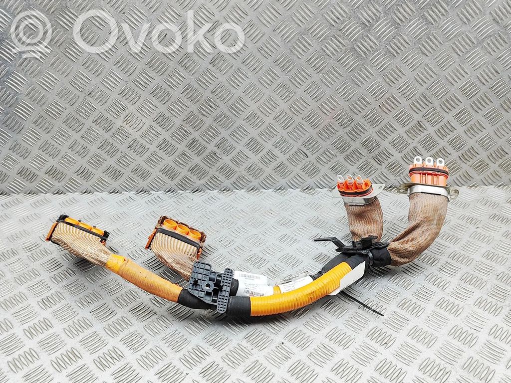 Renault Arkana Altro tipo di cablaggio 