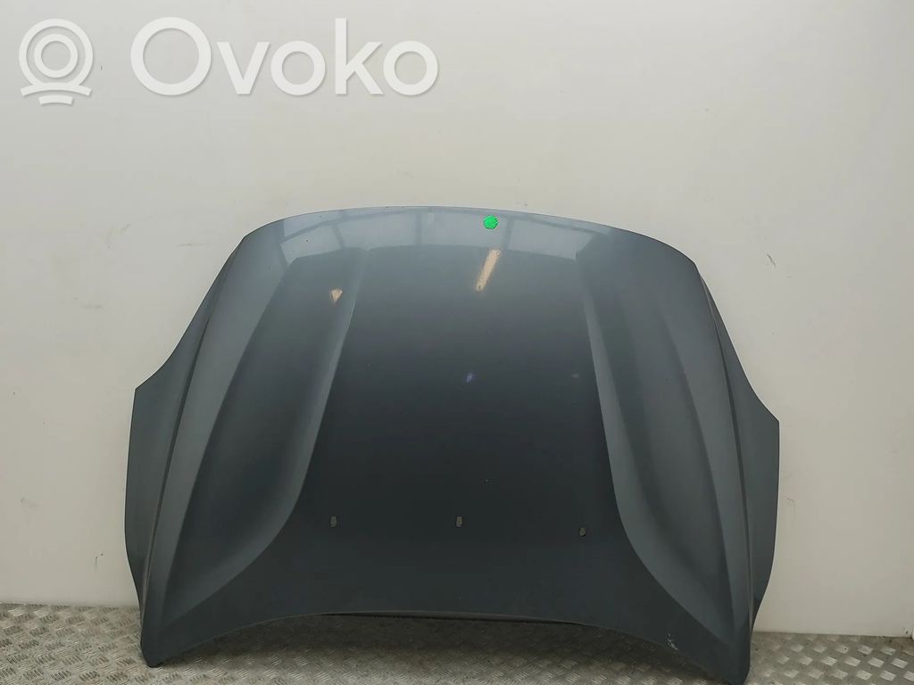 Vano motore/cofano   31278357