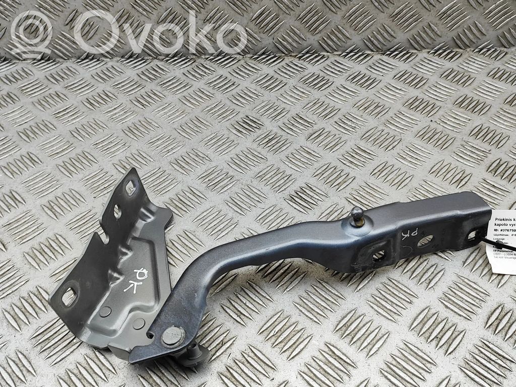 Renault Austral Charnière, capot moteur 