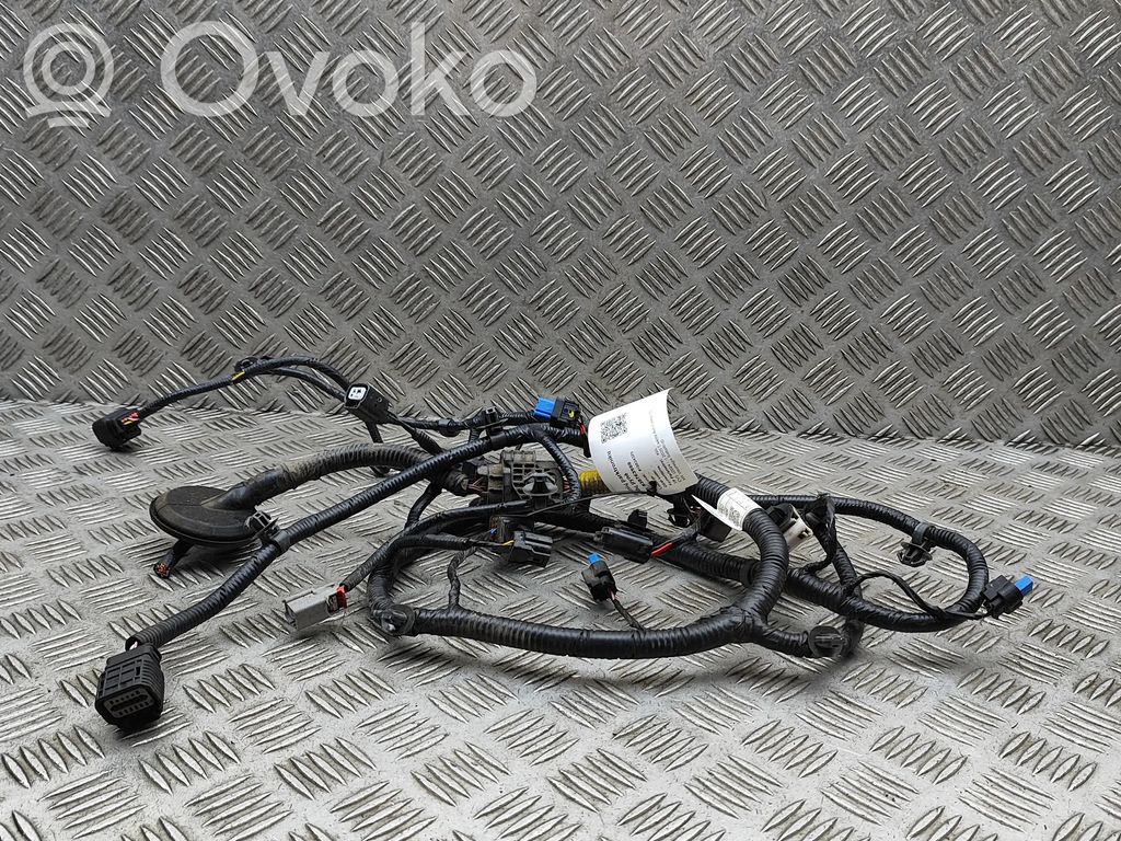 KIA EV3 Cablaggio del sensore di parcheggio (PDC) 