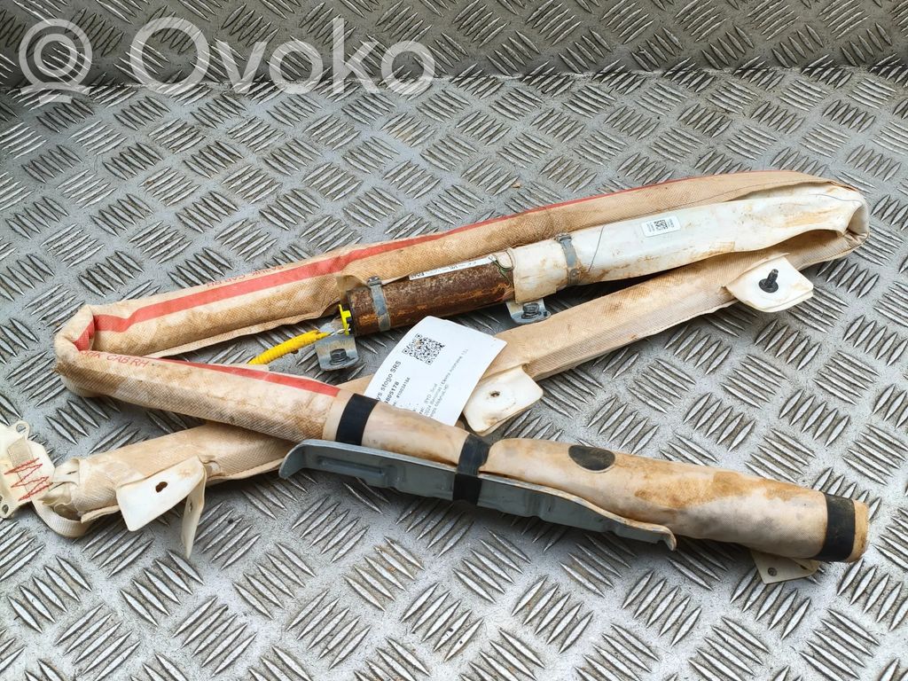 BYD Seal Airbag del techo