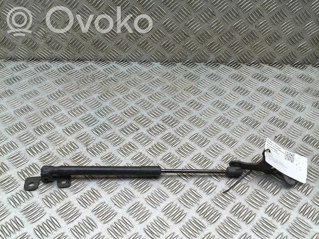 Tesla Model 3 Amortiguador/puntal del capó/tapa delantero 