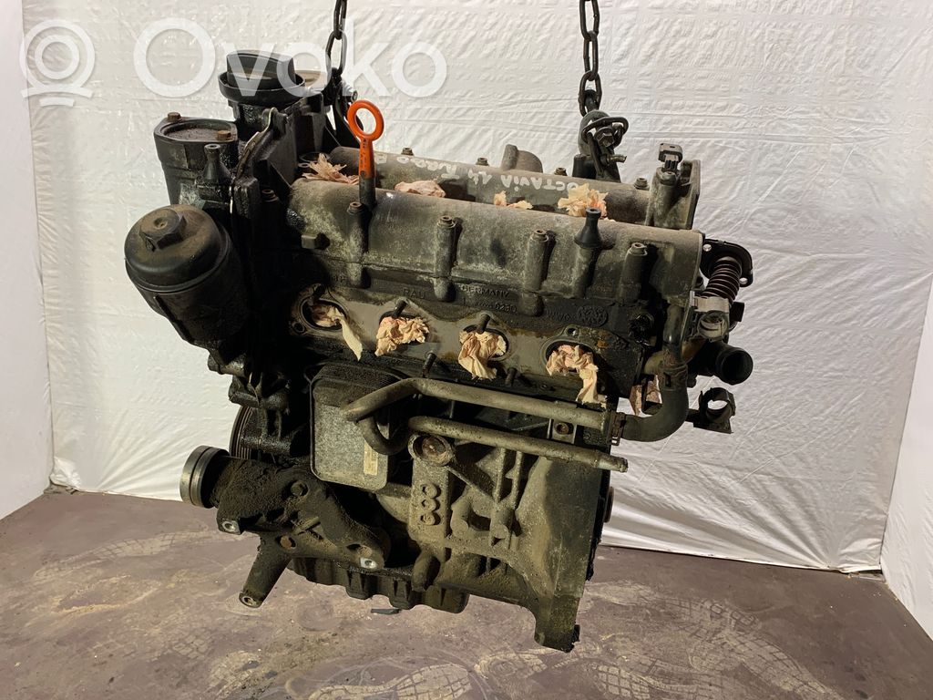 Skoda Octavia Mk2 (1Z) Engine 