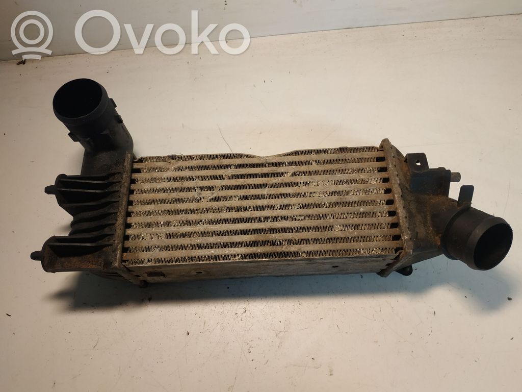 Interkūlerio radiatorius   9637809480