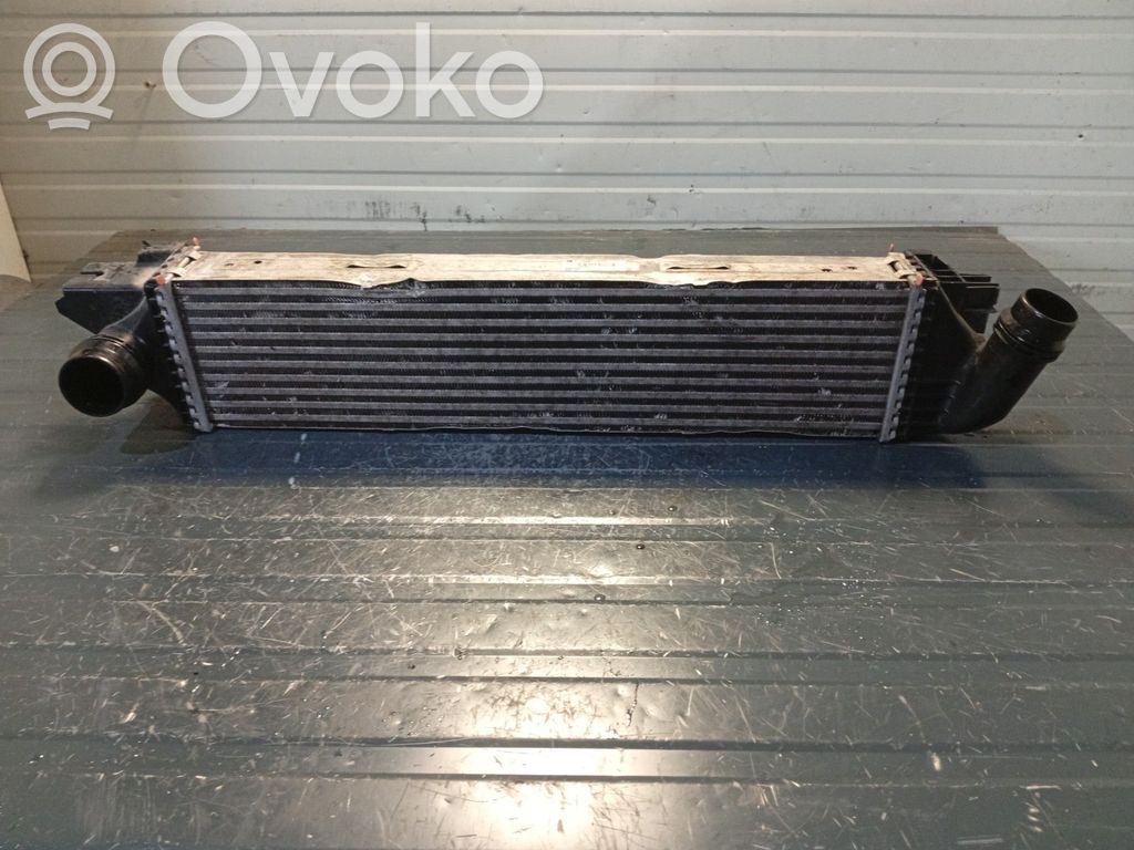 Interkūlerio radiatorius   6000618096