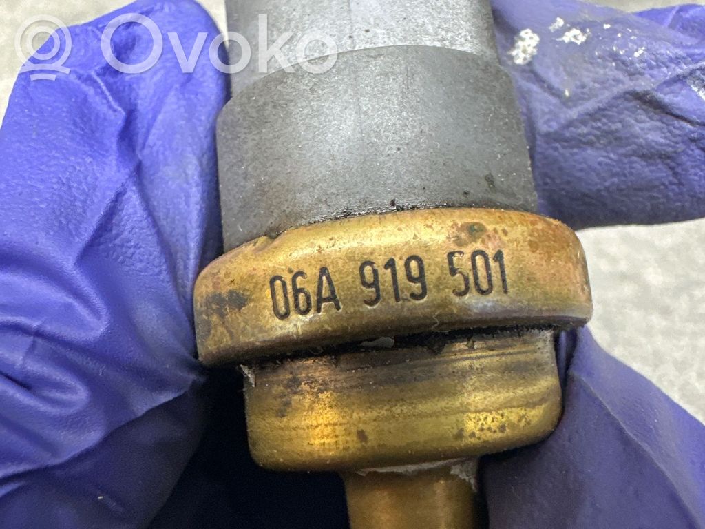 Audi A4 S4 B6 8E 8H Senzor temperatură lichid răcire 