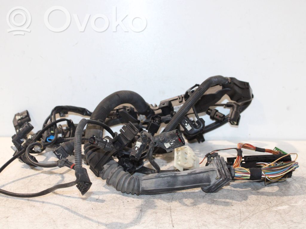 BMW X3 F25 Cablaj motor 
