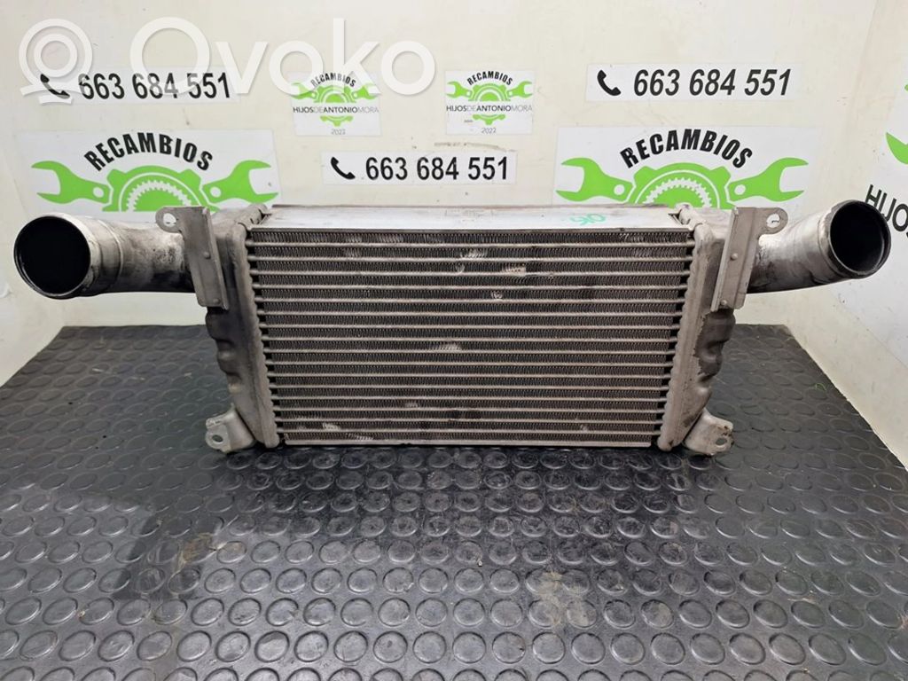 Intercooler radiator   FACUNDO