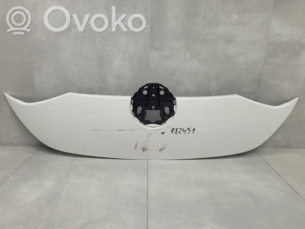 Volkswagen ID. Buzz Etusäleikkö 