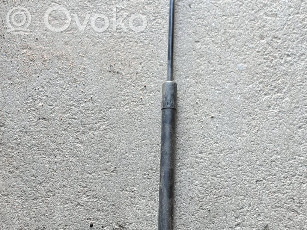 Audi A6 S6 C6 4F Tailgate/trunk strut/damper 