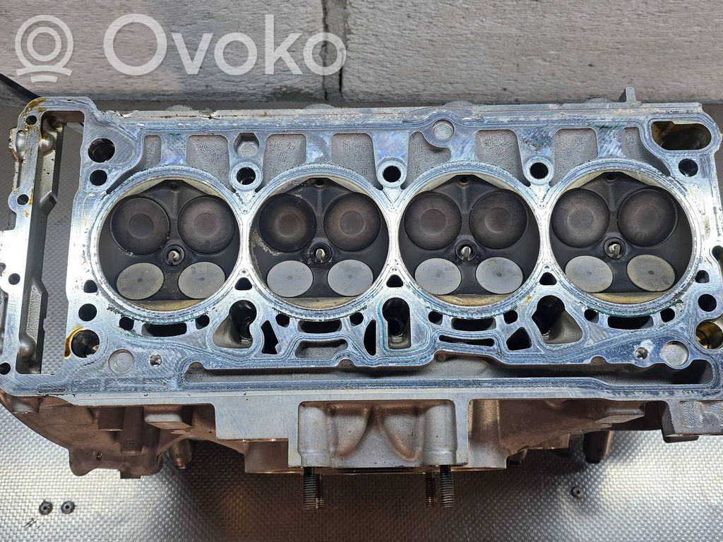 Galvutė   06Q103403A