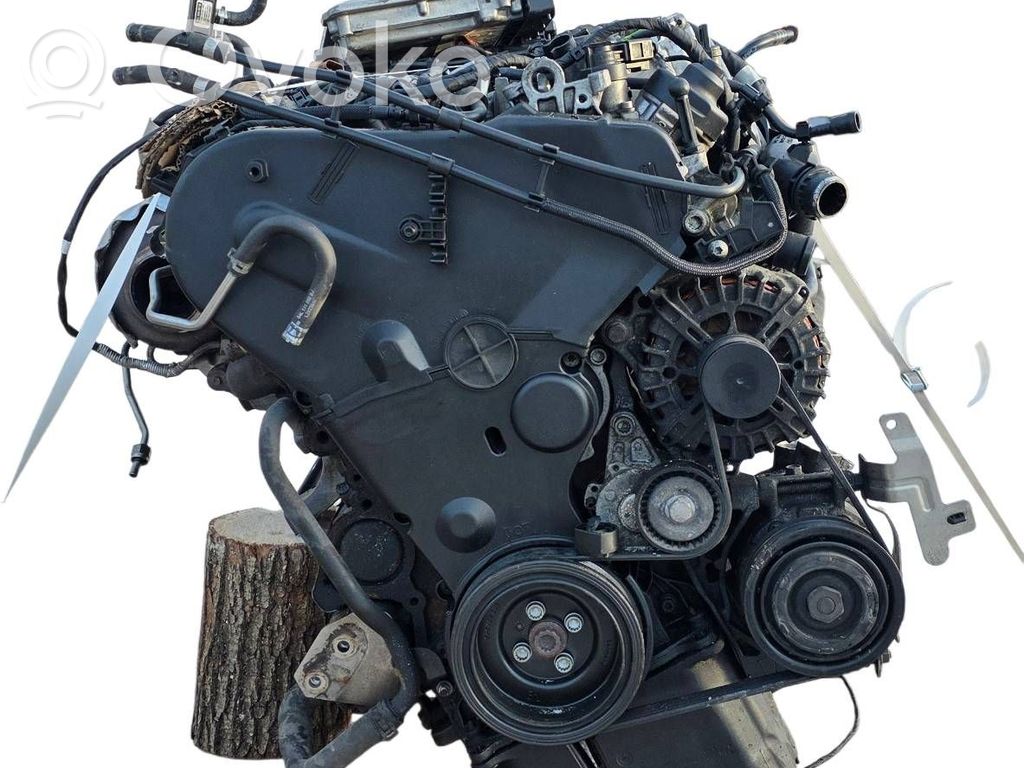 Motor completo   DET
